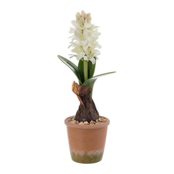 Kunsttaim (kõrgus 29 cm) Hyacinth - Ixia