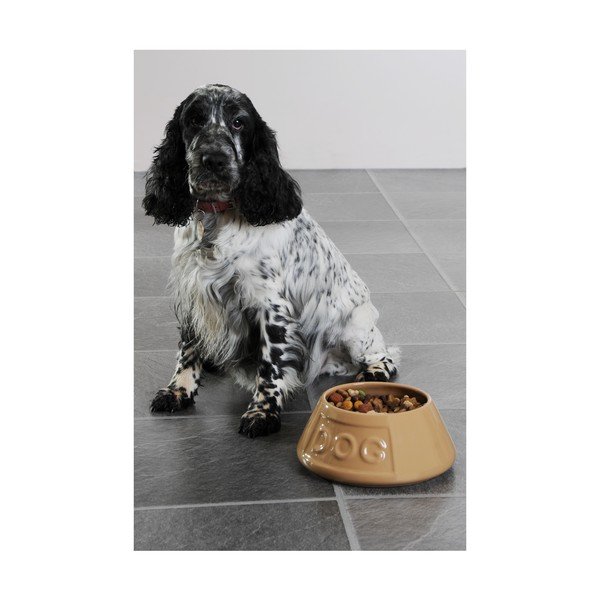 Keraamiline kauss koertele, ø 21 cm Pet Cane Dog - Mason Cash-image-2