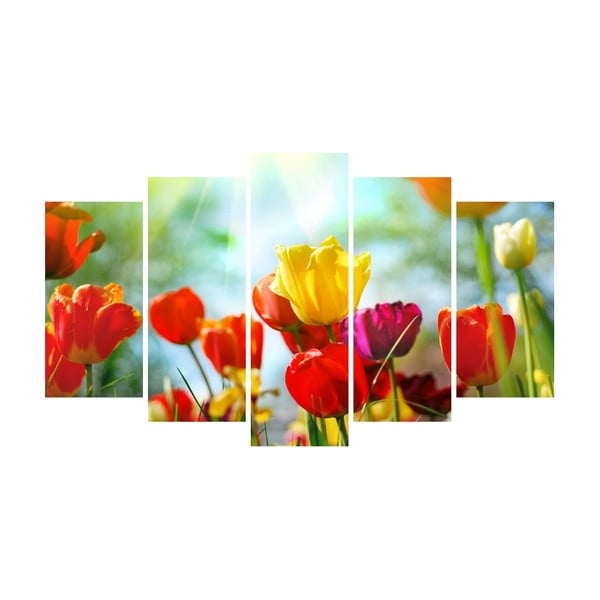 Vícedílný obraz na plátně Flower Color Canvas