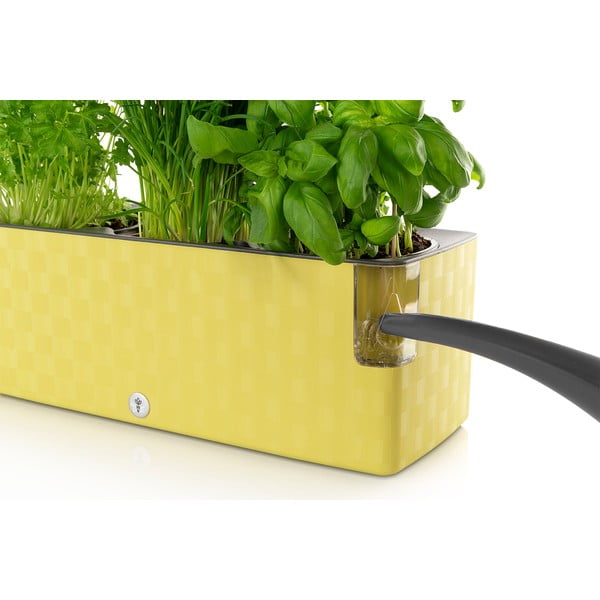 Basiiliku roheline isevoolav pott Trio, 40 x 14 cm Cobble - Flower Lover-image-1