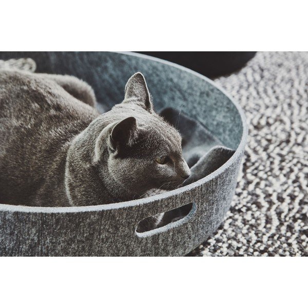 Hoiukorv ø 46x12 cm Cesto Concrete - MiaCara-image-3