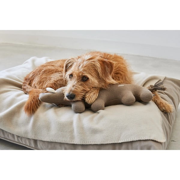 Mänguasi koerale Bosco Boar - MiaCara-image-3