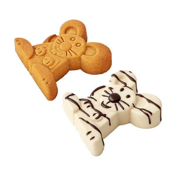 Silikoonist küpsetusvorm 20x20 cm Statek - Orion-image-1