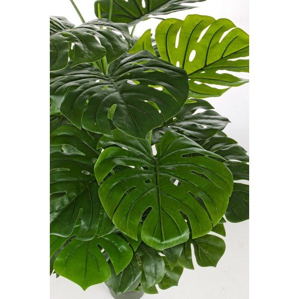 Kunstlik monstera (kõrgus 120 cm) Philodendron - Bizzotto-image-2