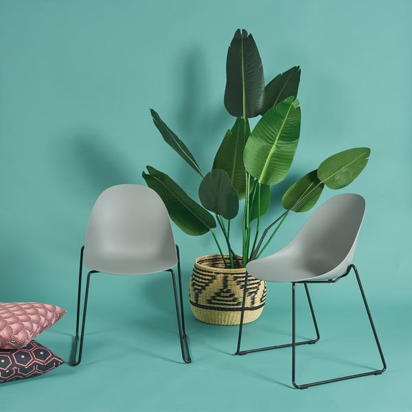 2 musta alusega halli söögitooli komplekt Viva - Bonami Selection-image-1