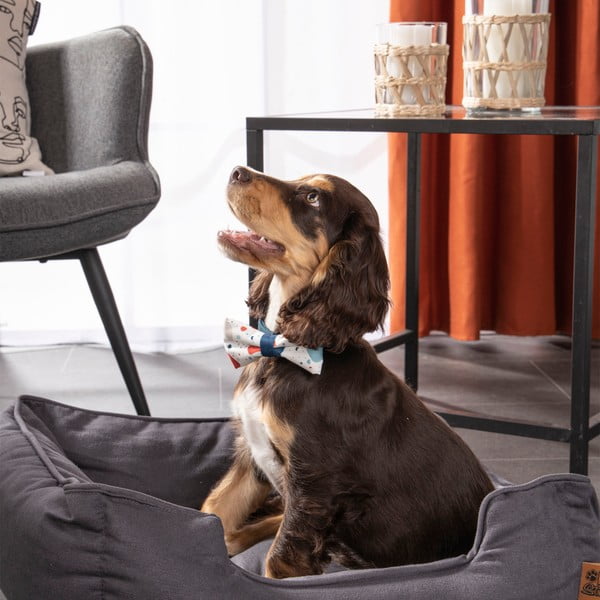 Sinine koeravoodi 50x55 cm - Love Story-image-4