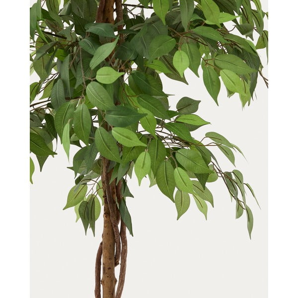 Kunstlik viigipuu (kõrgus 180 cm) Ficus - Kave Home-image-1