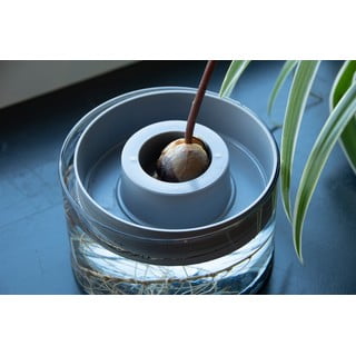 Klaas idanemisnõu ø 14 cm Avocado – Esschert Design