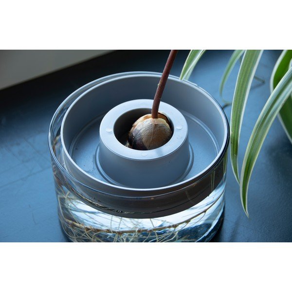 Klaas idanemisnõu ø 14 cm Avocado – Esschert Design-image-1