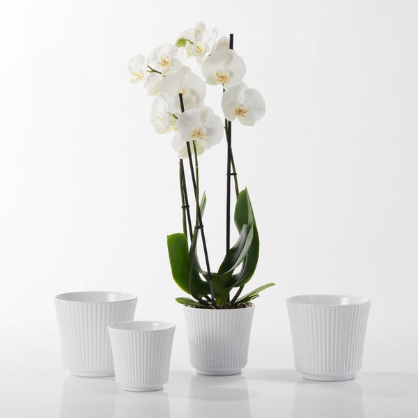 Valge keraamiline pott Glossi, ø 12 cm - Big pots-image-1