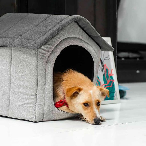 Helehall väike koerakuut 53x52 cm Home XL – Rexproduct-image-4