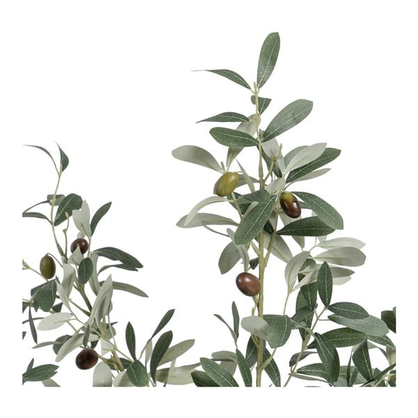 Kunstlik oliivipuu (kõrgus 78 cm) Olive Tree - Ixia-image-1