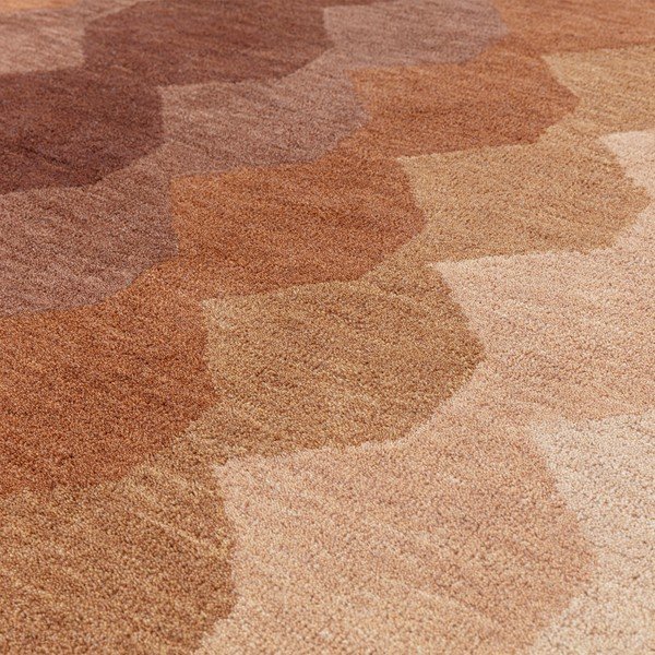 Tellisevärvi villane vaip 160x230 cm Hive - Asiatic Carpets-image-2