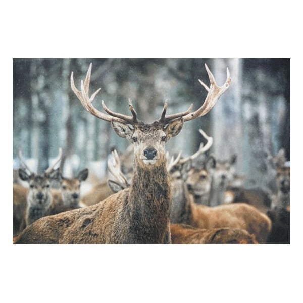 Předložka Winter Deer 75x50 cm