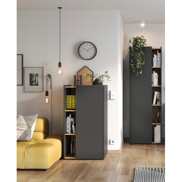 Tumehall tamme raamaturiiul 62x115 cm Austin - Germania-image-4