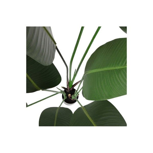 Kunstlik striitsia, kõrgus 164 cm - WOOOD-image-3