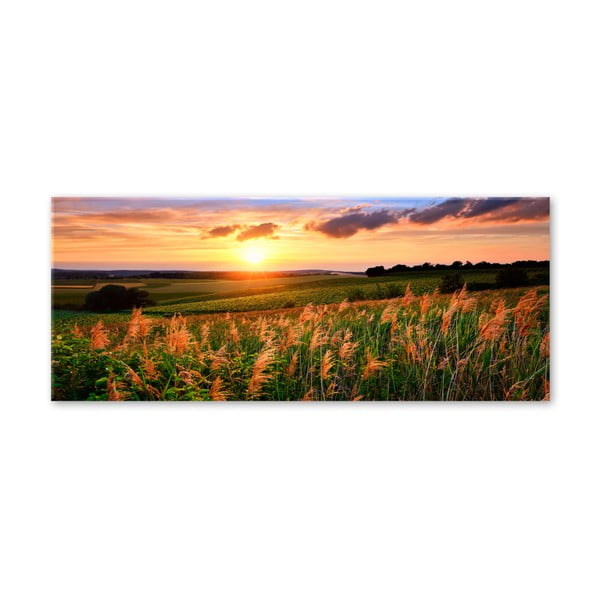 Obraz Styler Glas Sunset Meadow, 50 x 125 cm