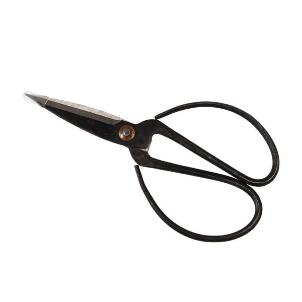 Aiakäärid Your Garden - Rex London