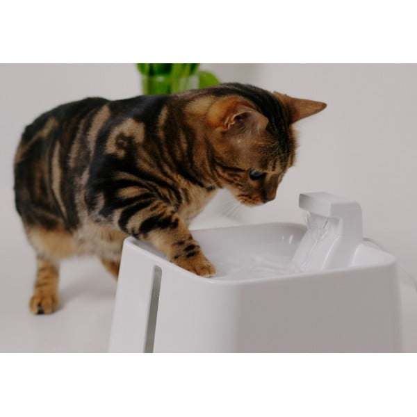 Purskkaev Epic Pet Zen – Plaček Pet Products-image-1