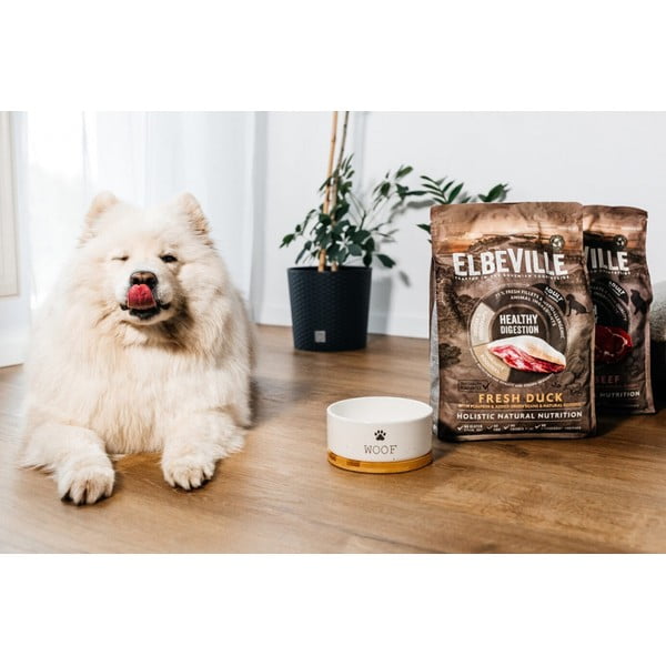 Keraamiline kauss koerale ø 16 cm Dog Fantasy WOOF - Plaček Pet Products-image-1