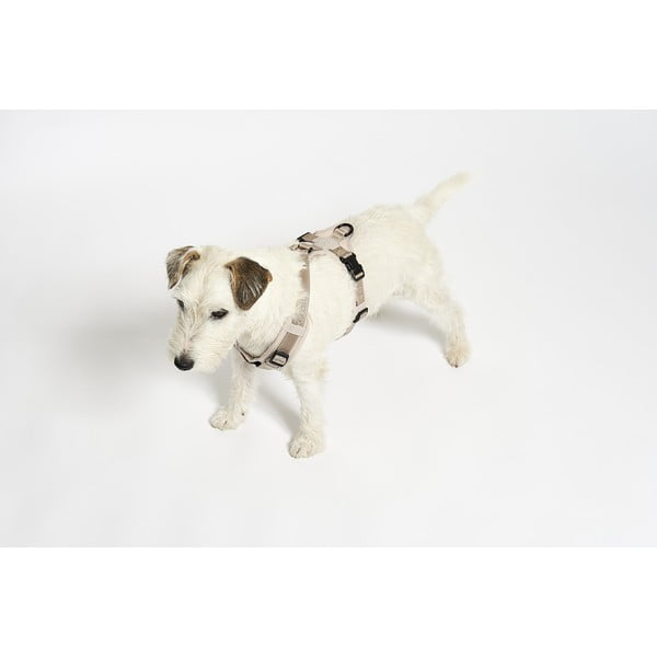 Beež traksid L pikkus 42 cm Modena Greige L – MiaCara-image-2