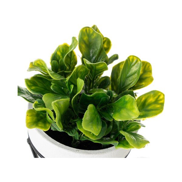 Kunstlikud taimed komplektis 4 - Casa Selección-image-1