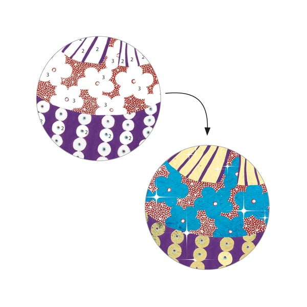 Laste kunstikomplekt Great Splendour - Djeco-image-1