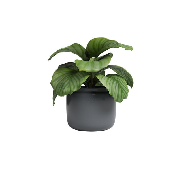 Keraamiline käsitöö lillepott ø 20 cm Astrea - Artevasi-image-3