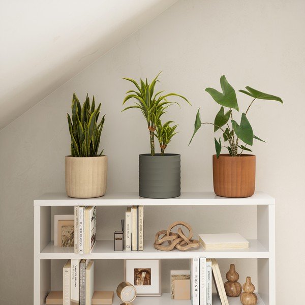 Keraamika lillepoti kate  ø 26 cm Chloe – Artevasi-image-1