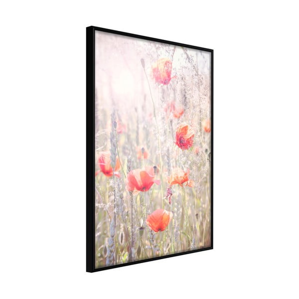 Plakat raamis, 20 x 30 cm Poppies - Artgeist