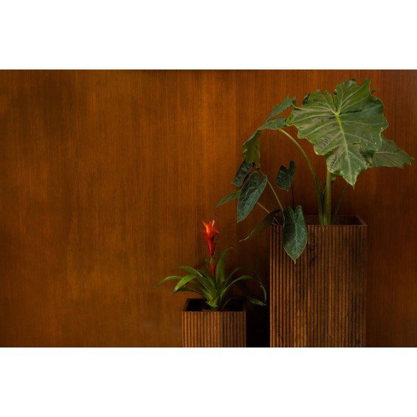 Puidust lillealused 2tk komplektis (kõrgus 80 cm) Ribble - Dutchbone-image-3