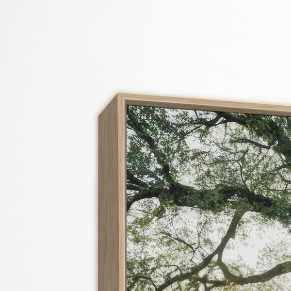 Maal 150x60 cm Tree in the Sun-image-3