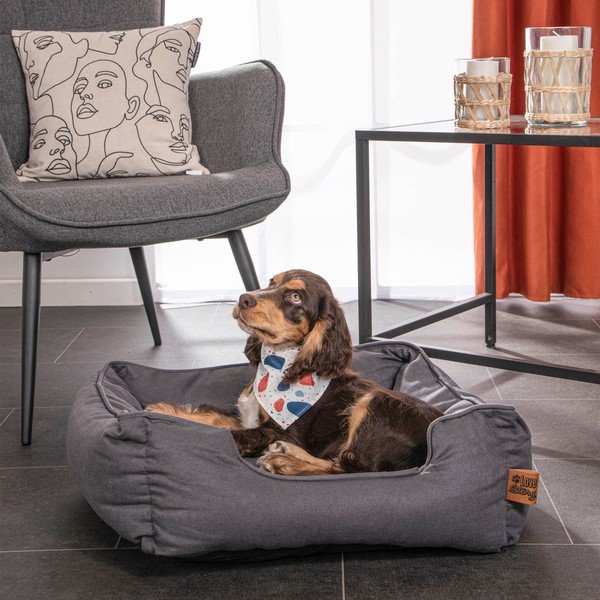 Sinine koeravoodi 50x55 cm - Love Story-image-1