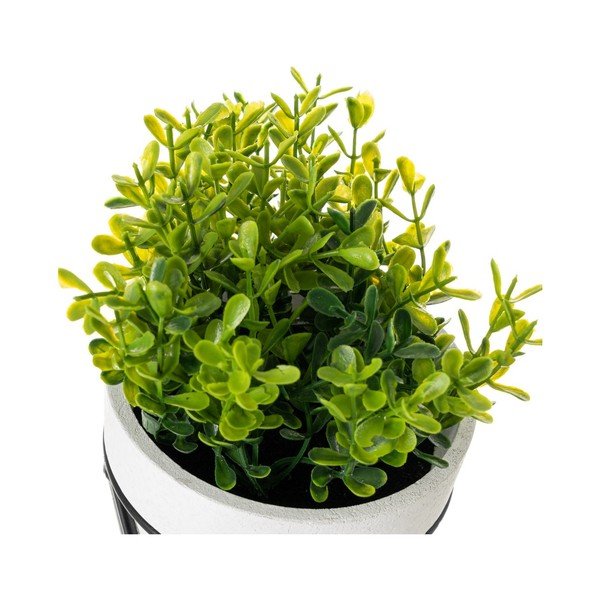 Kunstlikud taimed komplektis 4 - Casa Selección-image-3