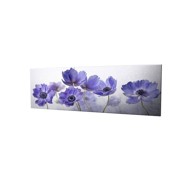 Obraz na plátně Violet, 80 x 30 cm