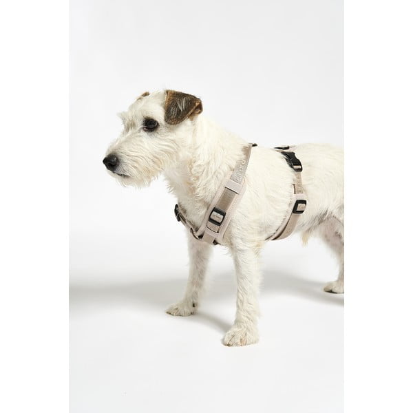 Beež traksid L pikkus 42 cm Modena Greige L – MiaCara-image-4