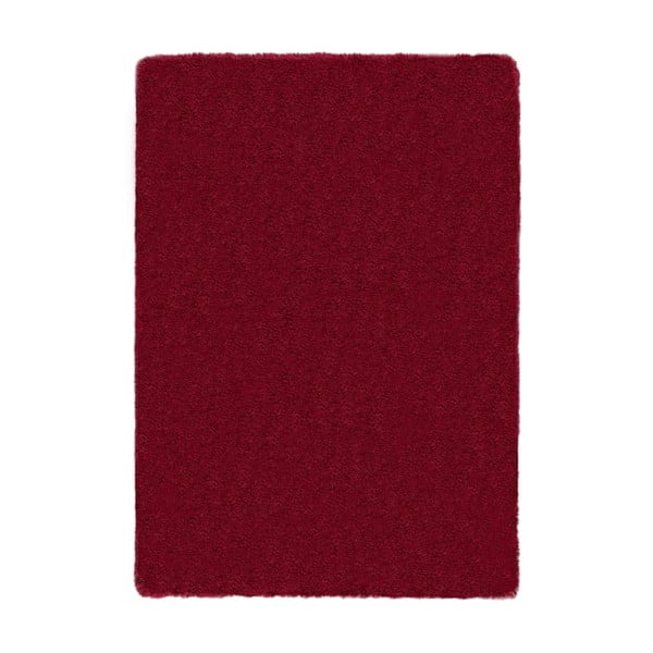 Punane vaip 120x170 cm - Flair Rugs