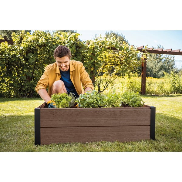 Taimekast Maple - Keter-image-1