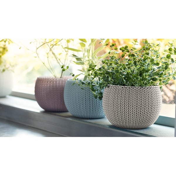 Plastikust potid 3 tk komplektis ø 15 cm Cozy - Keter-image-1
