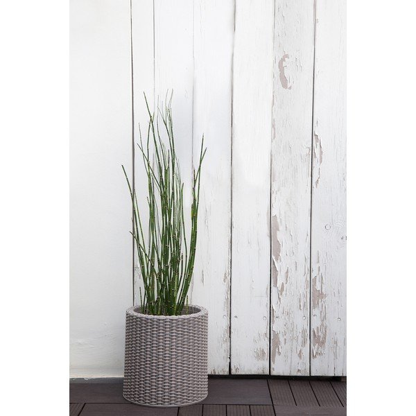 Plastikust pott ø 28 cm Cylinder - Keter-image-1