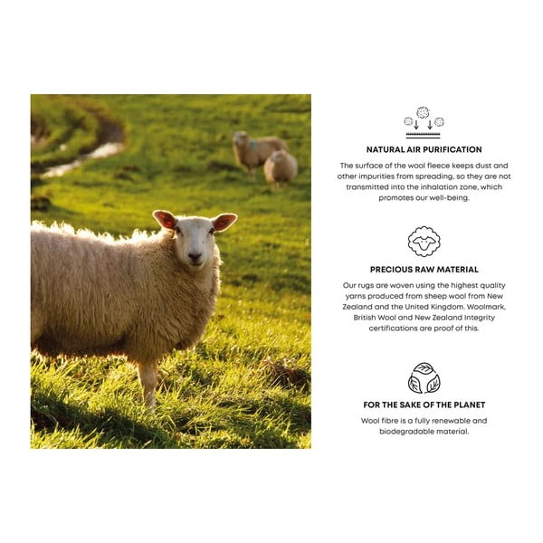 Helehall villane vaip 240x340 cm Talwin - Agnella-image-4