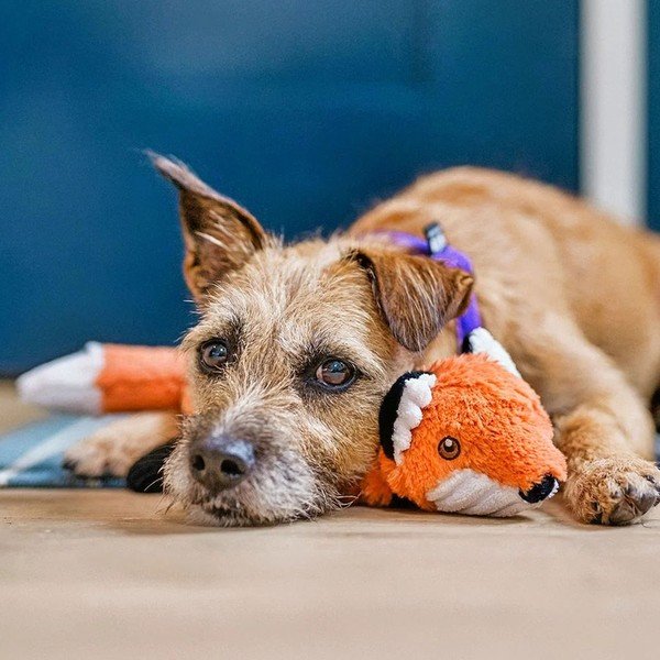 Koera mänguasi Fox - P.L.A.Y.-image-1