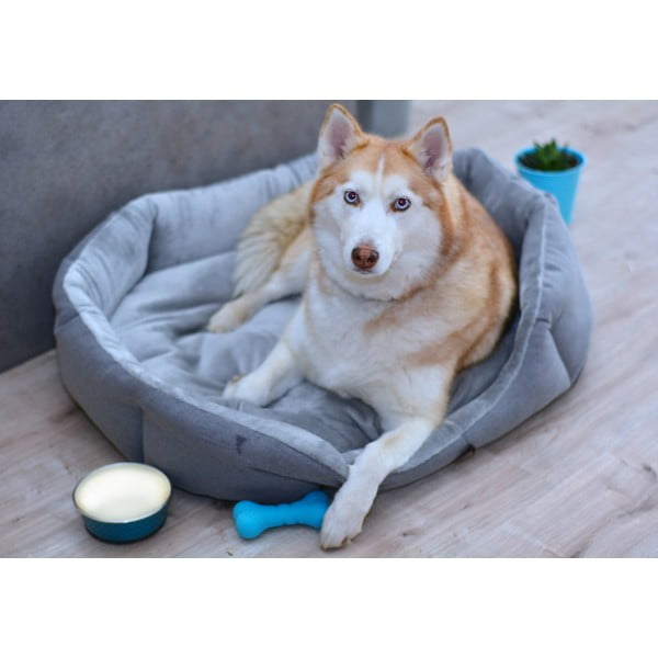 Hall fliisist voodi 90x70 cm Alík - Petsy-image-1