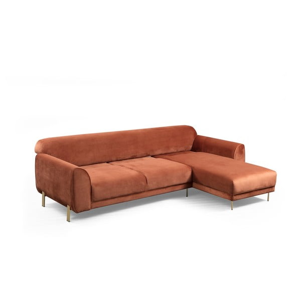 Sametpinnaga oranžikaspruun nurgadiivan , paremas nurgas Image - Artie-image-2