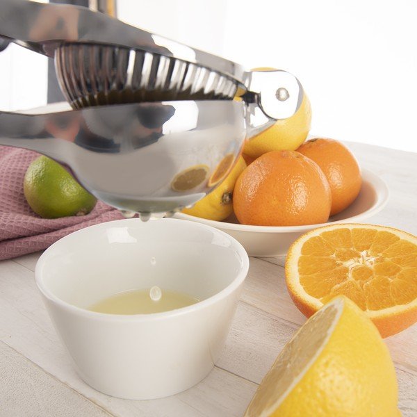 Metallist tsitrusepress - Orion-image-2