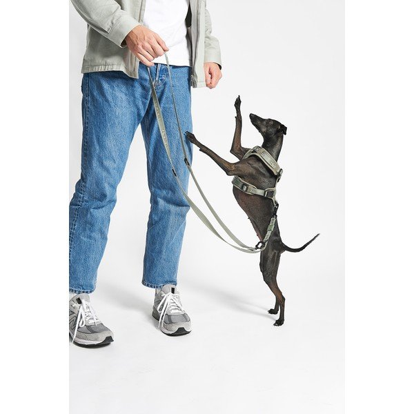 Roheline traksid XS pikkus 25 cm Modena Grolive XS – MiaCara-image-2