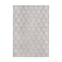 Elevandiluu värvi sise- ja välisvaip 120x170 cm Elm Leaf - Flair Rugs