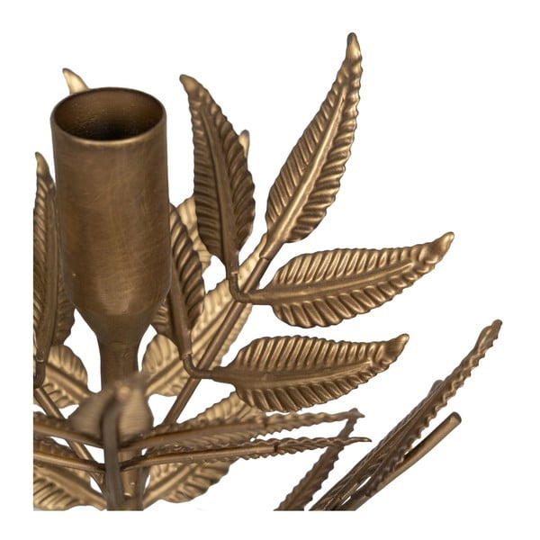 Metallist küünlajalg - Ixia-image-3