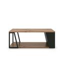 Pähklipuust kohvilaud 100x55 cm Albi - TemaHome