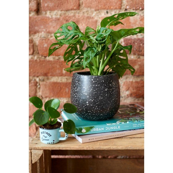 Mustast ja hallist betoonist istutuspott Braydon - Kave Home-image-1